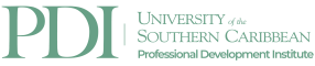 USC-PDI-Logo